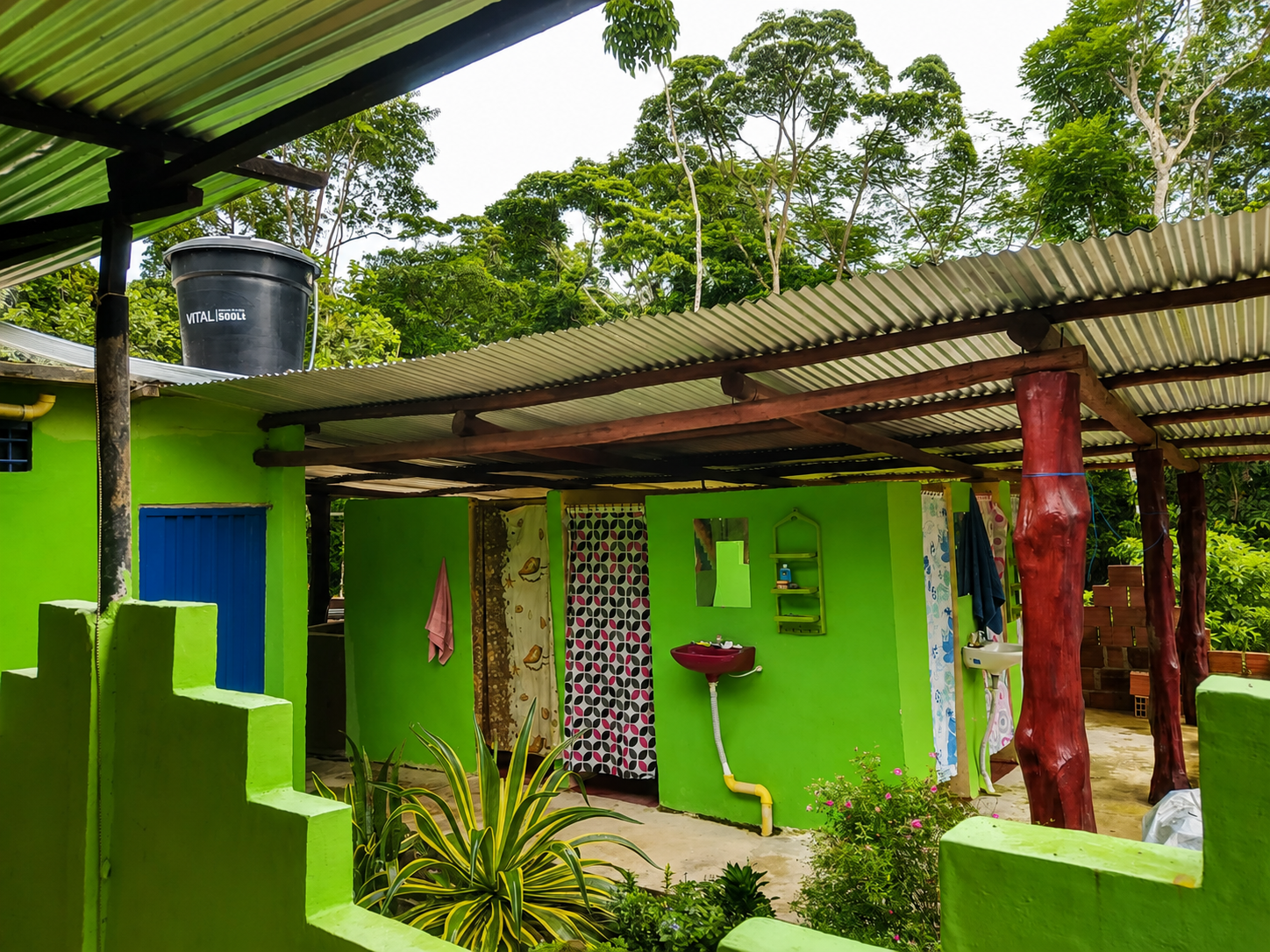 Otoczenie domu w Amazonii